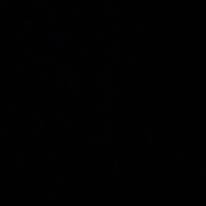 Meet your Posher, Abel